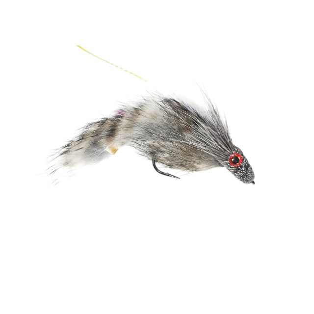 Gray SID Fly, S