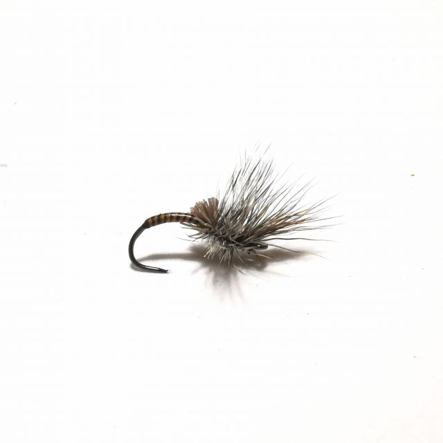 Emerger Quil Body #12