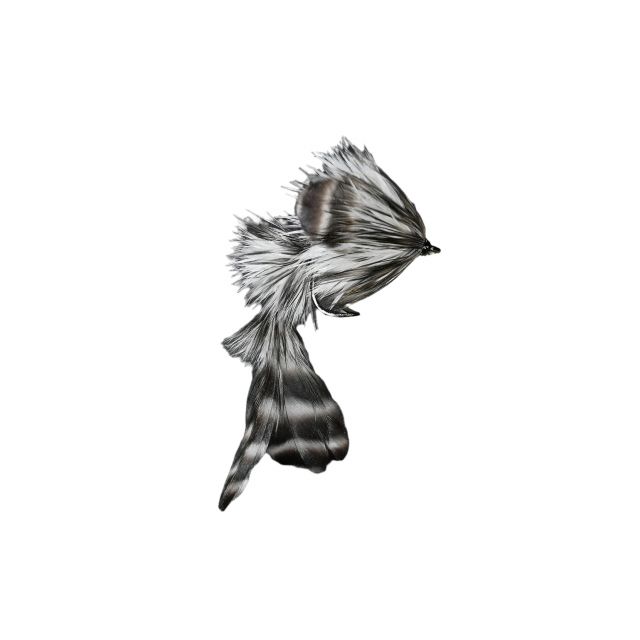 Coq De Leone Game Changer, 3-Parts, Not Weighted