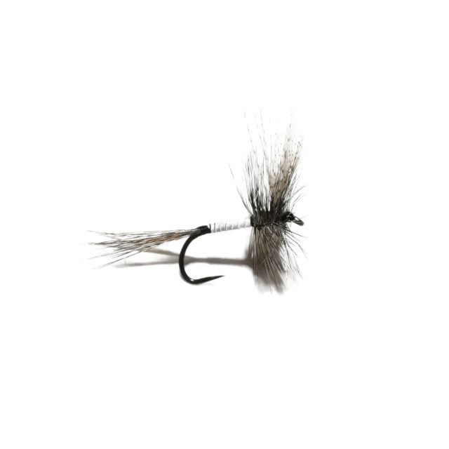 May Fly Biots #16